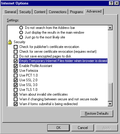 Internet Explorer Internet Options Screenshot